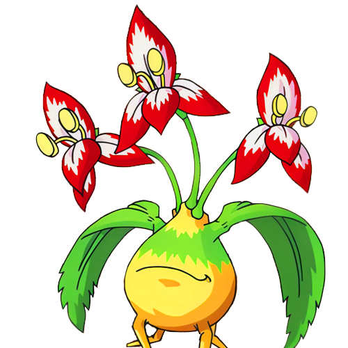plant